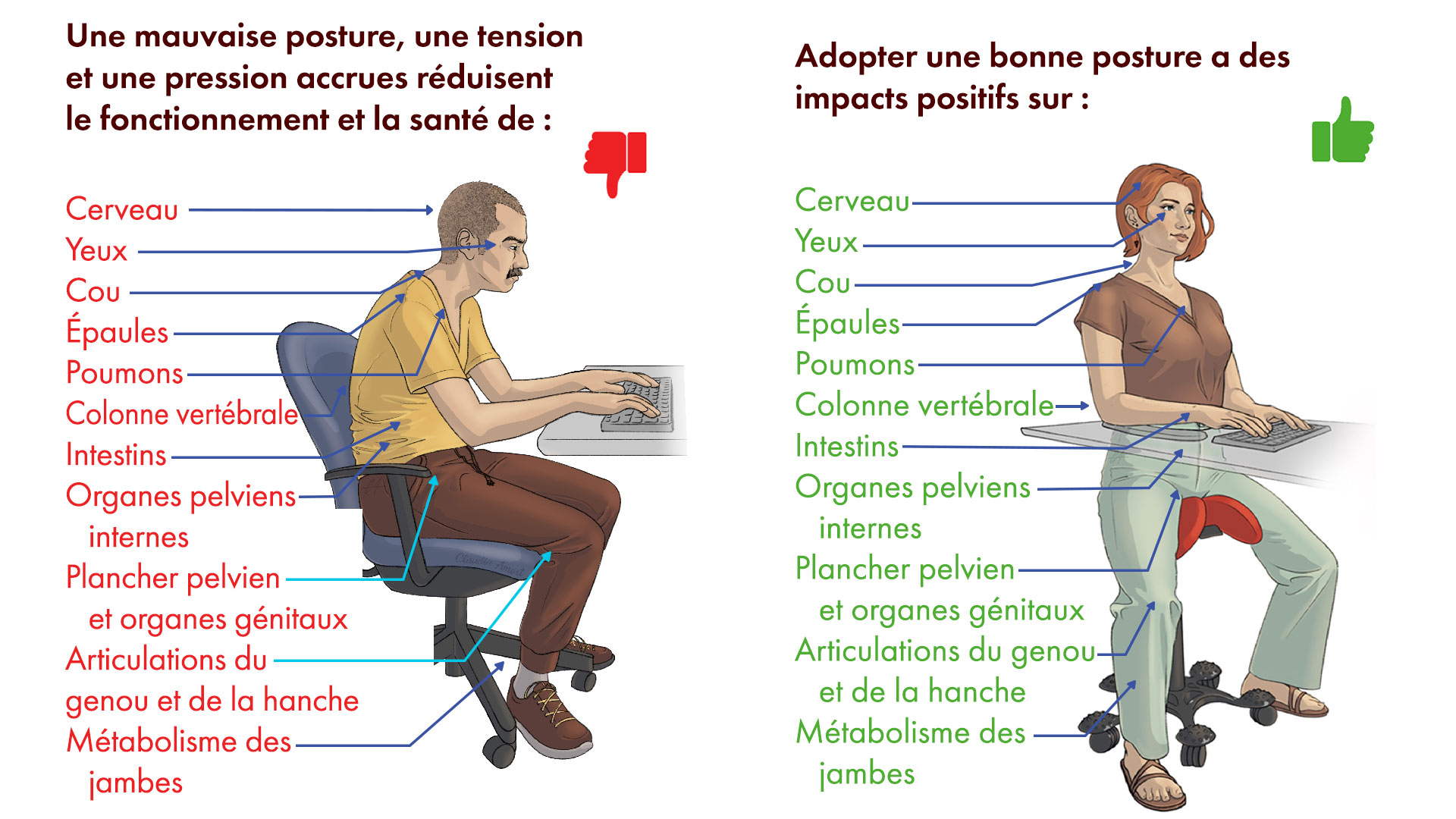 Un homme mal assis travaillant sur l'ordinateur est assis sur une chaise de bureau, l'air fatigué. Femme assise en position droite sur une siège-selle devant une table.