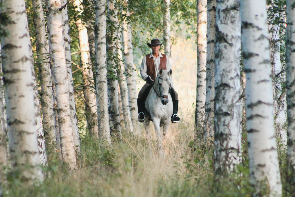 Salli saddle chair owner